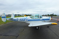 G-HARY @ EGSX - at the Air Britain flyin 2012 - by Chris Hall