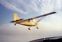 N12206 - 1988 over Pt. Reyes, CA - by Denis Arbeau