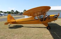 N92654 @ 88C - Piper J3C-65 - by Mark Pasqualino