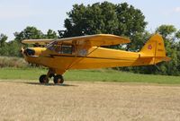N38551 @ 88C - Piper J3L-65 - by Mark Pasqualino