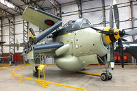 XL502 photo, click to enlarge XL502 photo, click to enlarge