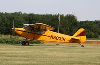 N5031H @ 7V3 - Piper PA-11 - by Mark Pasqualino