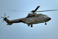 T-340 @ EGXW - Arrival of the Swiss Cougar