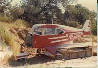 N1706P - The 1st N1706P - by MDO