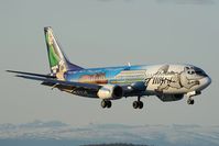 N705AS @ PANC - Alaska Airlines Boeing 737-400