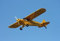 N288RZ @ LAL - Cub Crafters CC18-180 - by Florida Metal