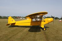 N1FP @ 7V3 - Wag Aero Sport Trainer - by Mark Pasqualino