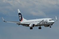 N590AS @ PANC - Alaska Airlines Boeing 737-800