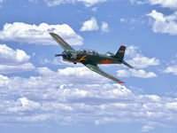 N41836 - Flyby at Valle Airport in northern Arizona. - by Joe Coyle