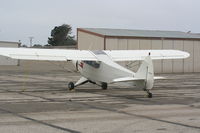 N8226C @ KLPC - New fabric on the fuselage - by Nick Taylor