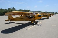 N42630 @ L52 - Cub group at Oceano for lunch - by Nick Taylor