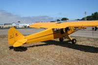 N33596 @ KLPC - Lompoc Piper Cub fly in 2012 - by Nick Taylor