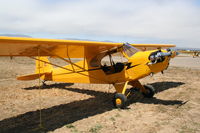 N33596 @ KLPC - Lompoc Piper Cub fly in 2012 - by Nick Taylor