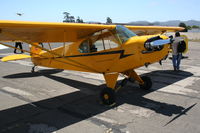 N42478 @ KLPC - The star of 16R at the Lompoc Piper Cub fly in 2012 - by Nick Taylor