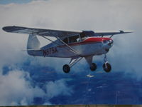 N875A @ KOSH - If interested, see EAA Sport Aviation Feb. 2000 for article on this plane with more pics. - by EAA