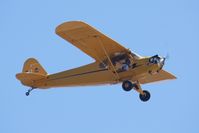N33596 @ KLPC - Lompoc Piper Cub fly in 2012 - by Nick Taylor