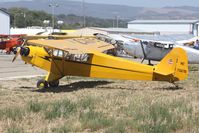 N38676 @ KLPC - Lompoc Piper Cub fly in 2012 - by Nick Taylor