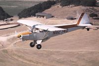 N82740 @ KLPC - Cub formation - by Nick Taylor