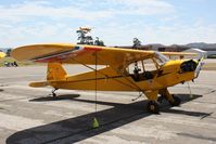 N48525 @ KLPC - Lompoc Piper Cub fly in 2010 - by Nick Taylor