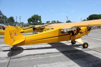 N70272 @ KLPC - Lompoc Piper Cub fly in 2010 - by Nick Taylor