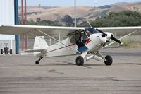 N8226C @ KLPC - Starting up - by Nick Taylor