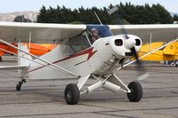 N8226C @ KLPC - Lompoc Piper Cub fly in 2010 - by Nick Taylor