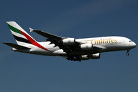 A6-EDQ @ MUC - visitor - by Wolfgang Zilske