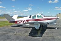 N3463B @ COE - 1953 Beech D35, c/n: D-3689