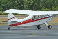 N61819 @ 4S2 - 1959 Champion 7GC, c/n: 7GC-78