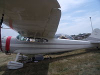 N9883A @ OSH - cessna 195 - by christian maurer