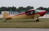 N3785M @ KOSH - Piper PA-12 - by Mark Pasqualino