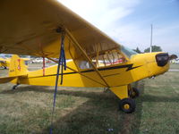 N5933V @ OSH - piper cub - by christian maurer