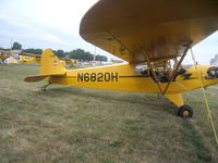 N6820H @ OSH - j3 cub - by christian maurer