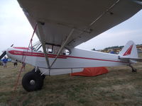 N184WL @ OSH - piper super cub - by christian maurer