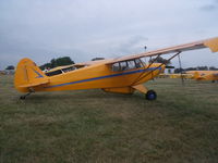 N2333M @ OSH - pa-12
