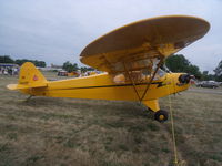 N6243H @ OSH - j3 cub - by christian maurer