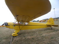 N3502K @ OSH - j3 cub