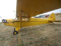 N6047H @ OSH - j3 cub - by christian maurer