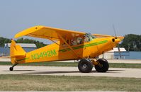 N3492M @ KOSH - Piper PA-12 - by Mark Pasqualino