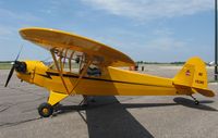 N1938C @ KAXN - Per J3C-65 Cub on the ramp. - by Kreg Anderson
