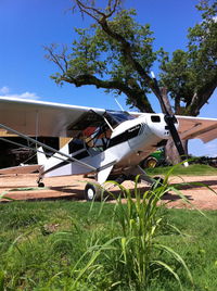 N4068A @ 2L0 - In the farmers field, this one was in the AOPA on line first week in july news letter. - by David Lewis