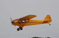 N98452 @ KOSH - Piper J-3 - by Mark Pasqualino