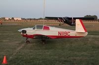 N119C photo, click to enlarge