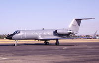 N173PA @ CCR - Visitor - by Bill Larkins