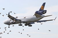 D-ALCF photo, click to enlarge