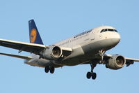 D-AILF @ EGLL - Lufthansa - by Chris Hall