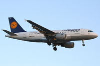D-AILI photo, click to enlarge D-AILI photo, click to enlarge