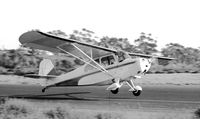 N3114E @ SEE - Landing - by Bill Larkins