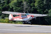 N785JR @ PAE - 1977 Piper PA-18-150 Super Cub - by Terry Green