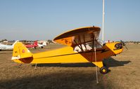 N88456 @ KOSH - Piper J3C-65 - by Mark Pasqualino